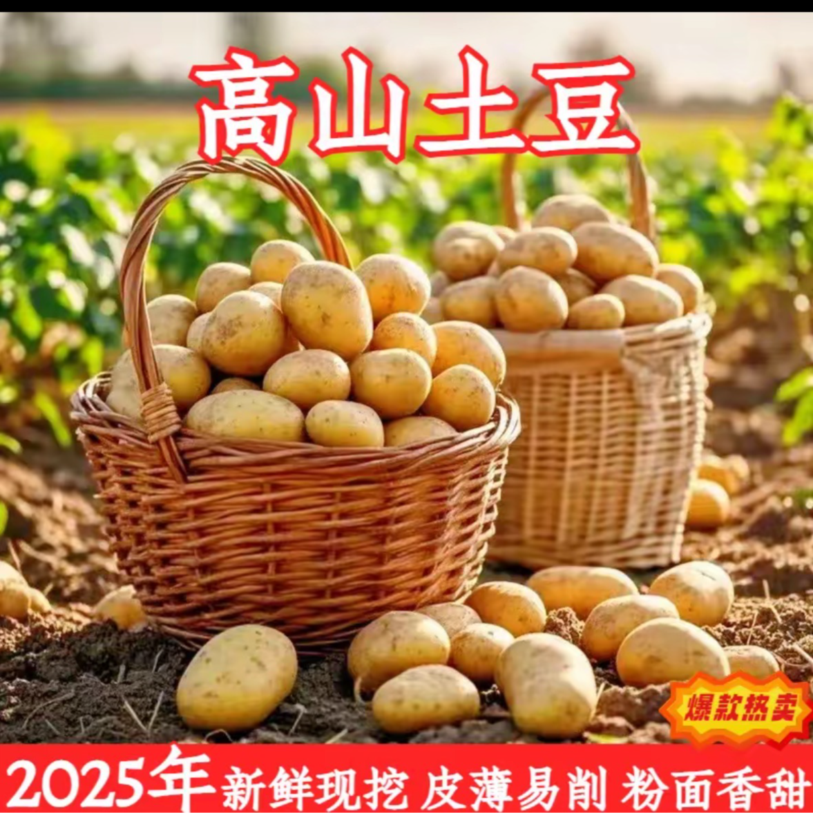 新土豆农家高山黄皮特产土豆做卤土豆片炒炸蒸整箱9.5-10斤