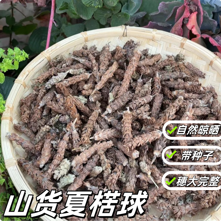 【夏-苦草】  拍250g夏枯草送250g蒲公英的根     非皂角米*