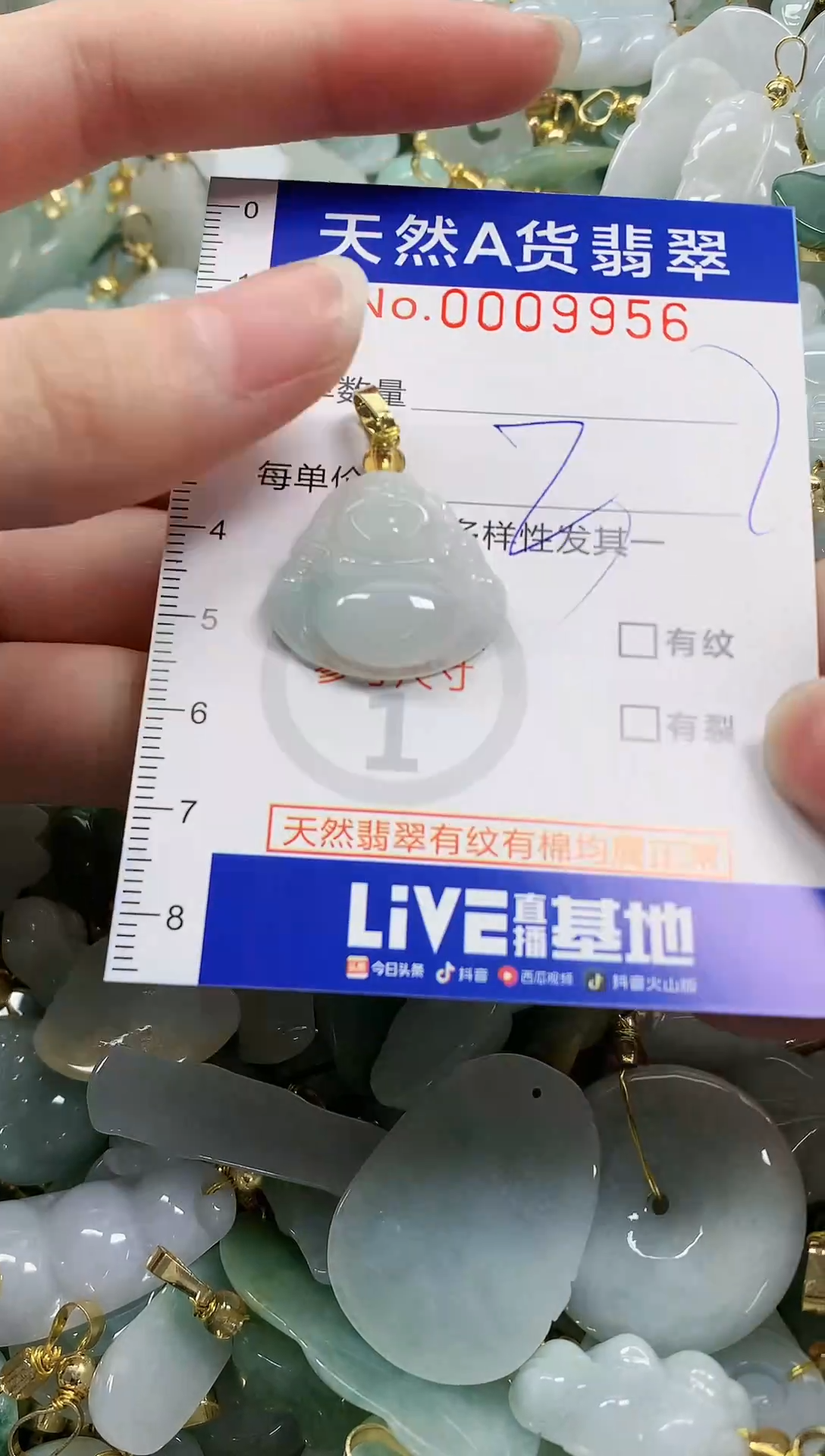 颈饰未镶嵌翡翠纯天然a货翡翠