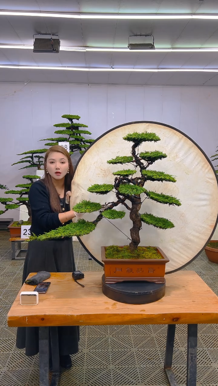 无花朵一物一拍一物一拍