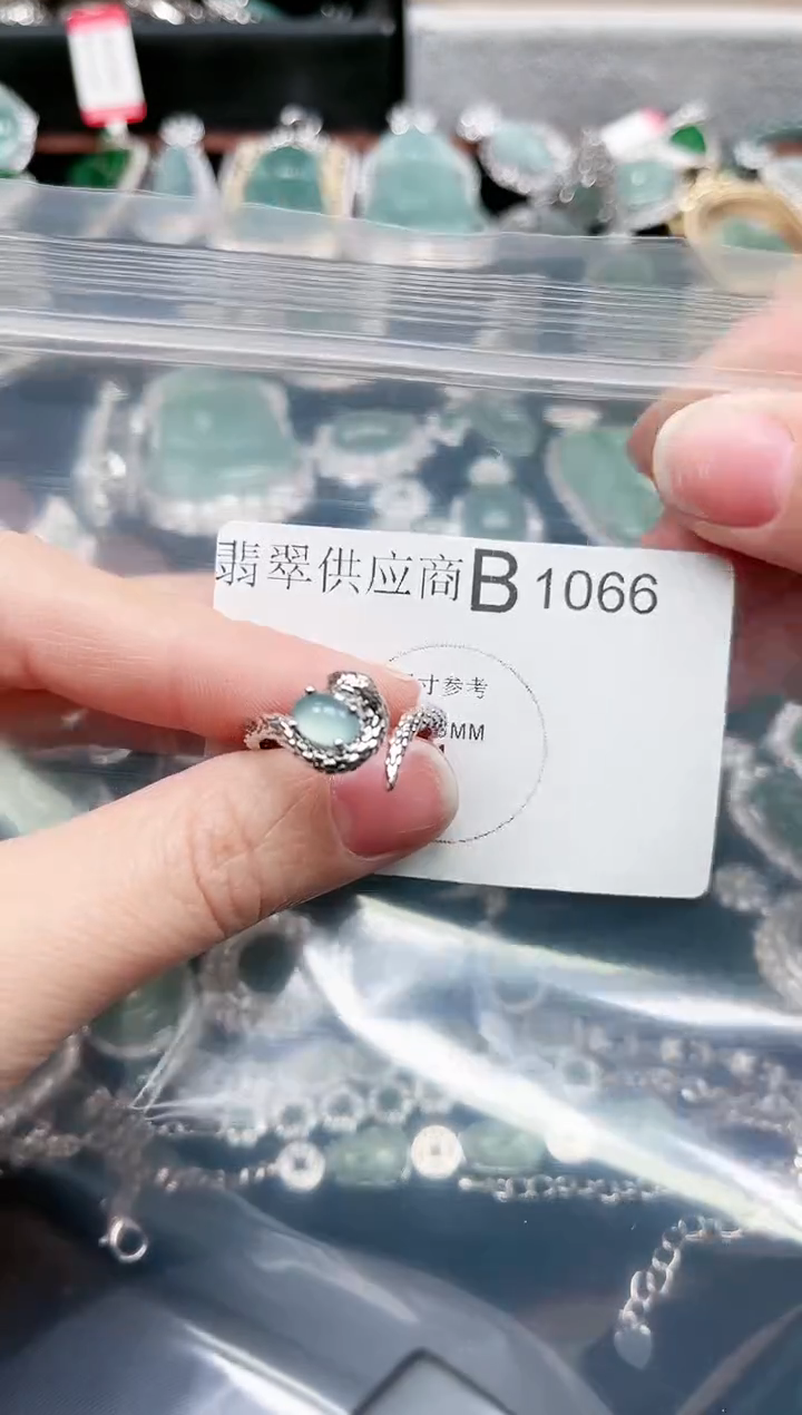 【闪购商品】翡翠颈饰未镶嵌1066赠皮绳