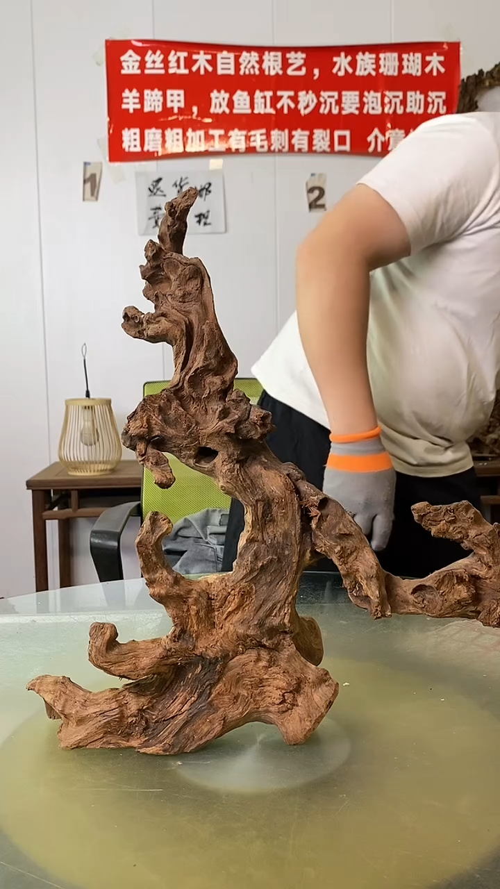 木俊*金丝红木 羊蹄甲