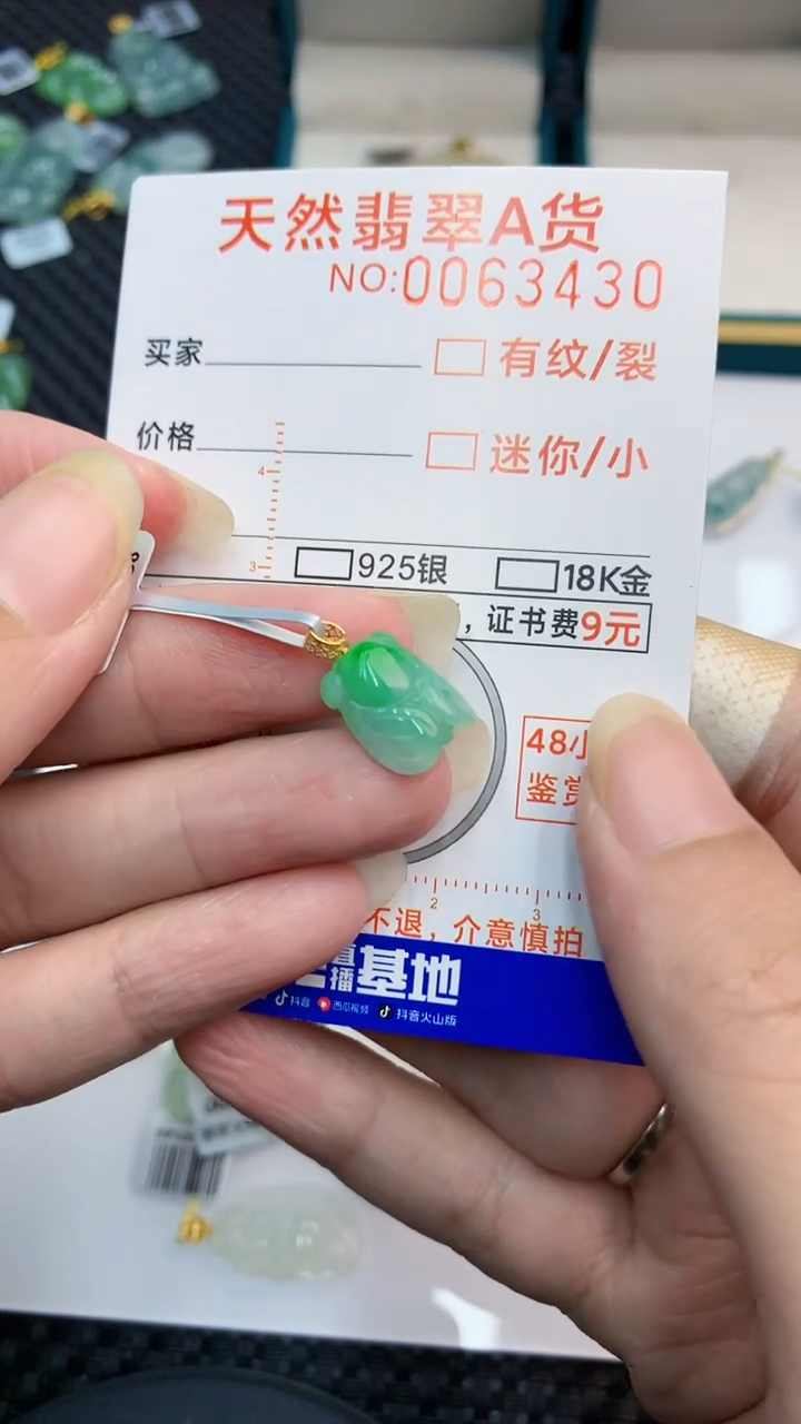 【闪购商品】翡翠颈饰18K金镶嵌            8