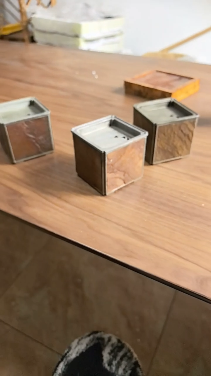 猫咪建水黑寡妇vv报告