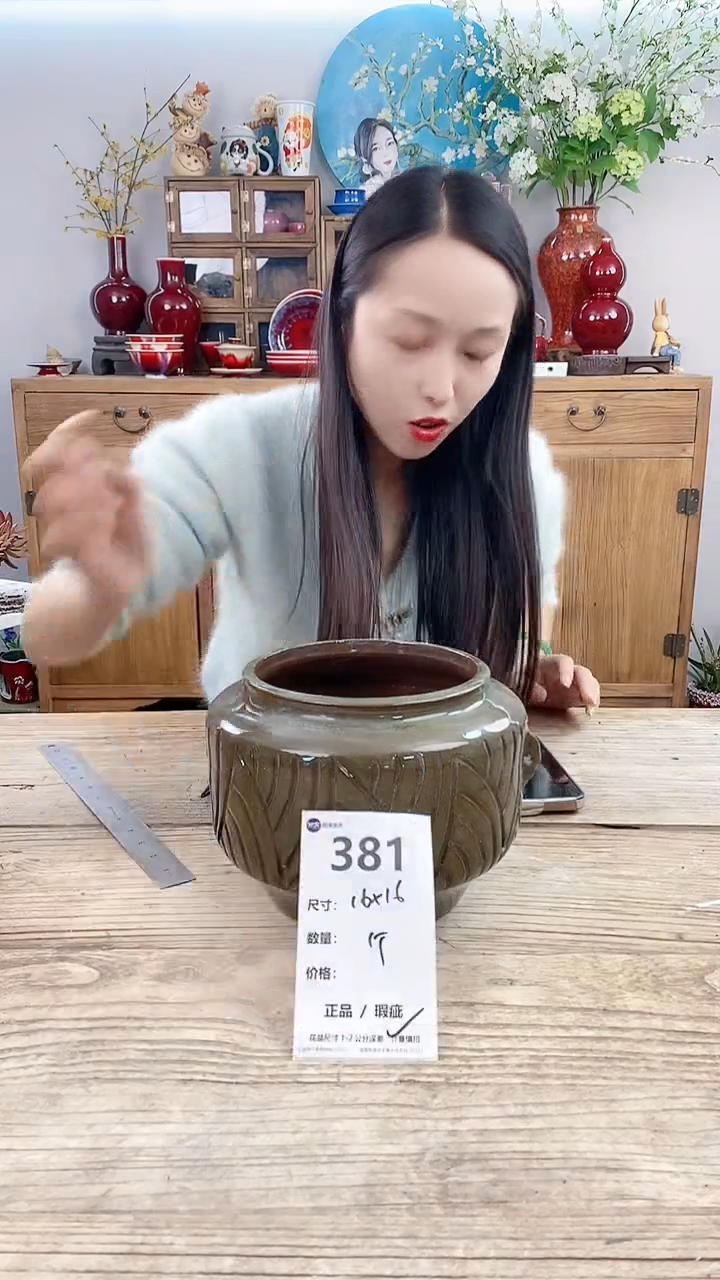 【闪购商品】红陶381