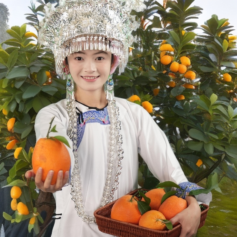 村超圣地榕江县高山五榕脐橙九甜一酸紧实果粒细腻化渣