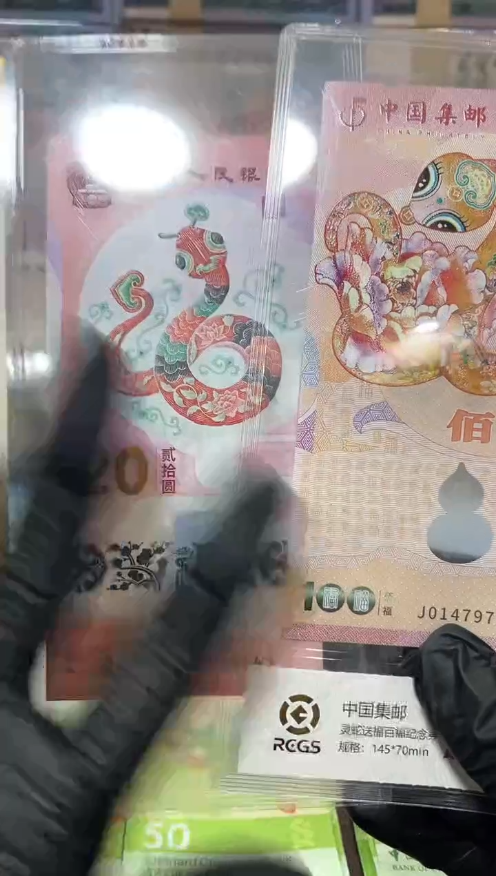 【闪购商品】塑料纪念钞组合套装闪购商品120蛇