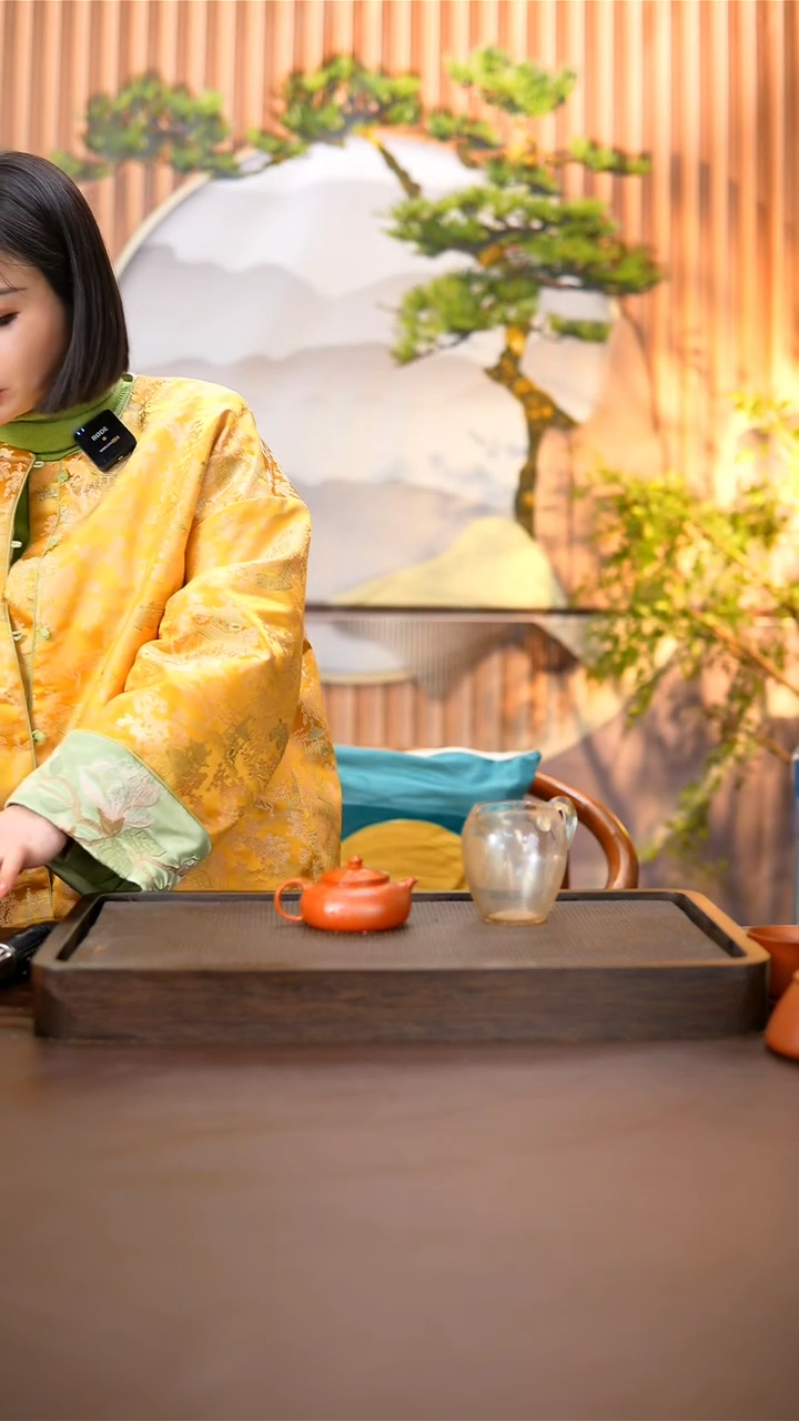 【闪购商品】紫砂茶壶原矿料紫砂壶