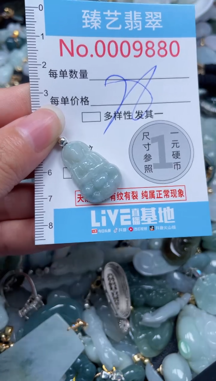 颈饰未镶嵌翡翠9880
