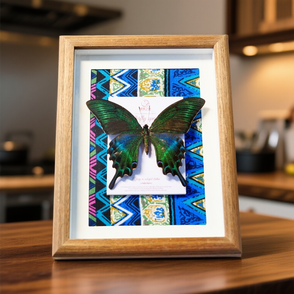 A1级绿带翠凤蝶真蝴蝶标本文创装饰画布艺装裱