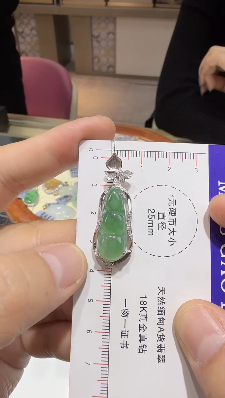 【闪购商品】翡翠吊坠(赠链)18K金镶嵌59-豆子