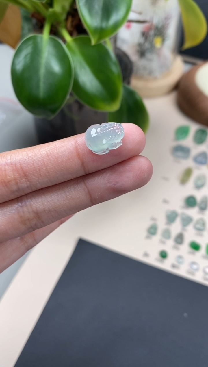 【闪购商品】翡翠颈饰未镶嵌翡翠冰种裸石