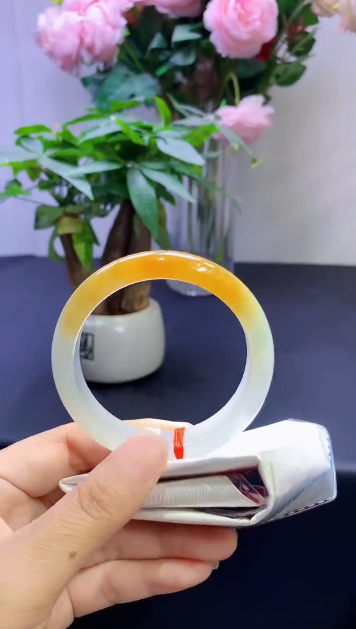 未镶嵌手镯翡翠翡翠手镯圈口56-t162手镯定金2万卖价12万