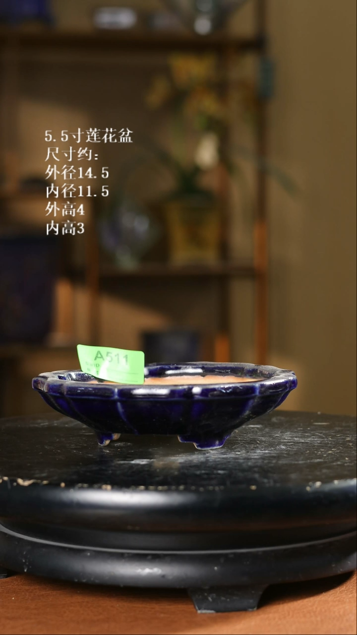 【限时买三免一活动】5.5寸莲花盆511