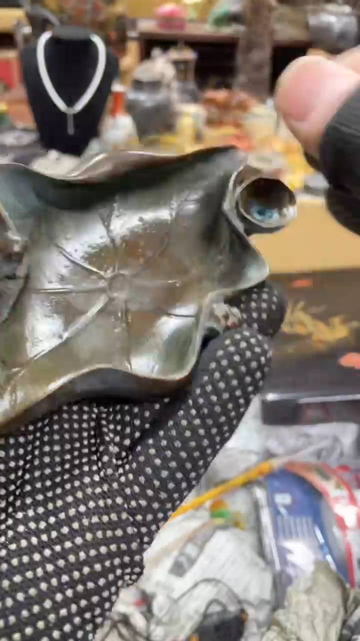 【闪购商品】杯瓷瓷瓷瓷瓷瓷瓷瓷瓷