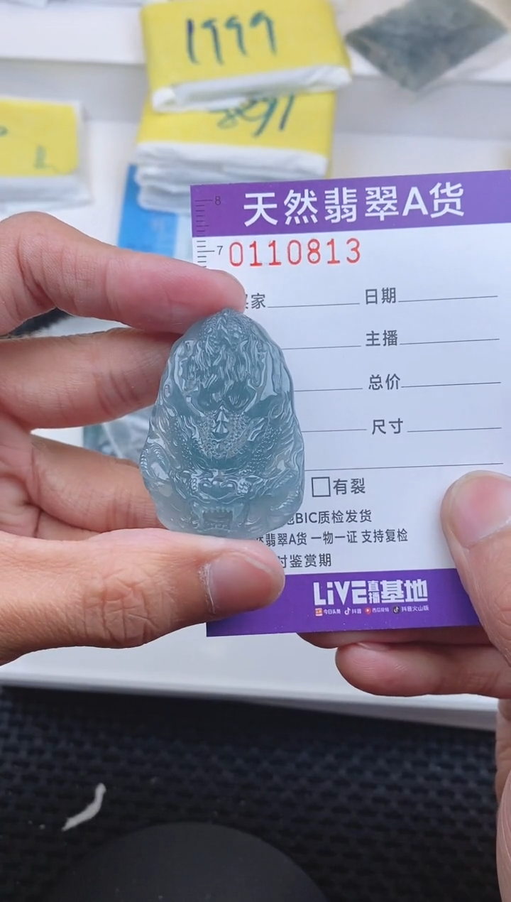 【闪购商品】翡翠颈饰未镶嵌0813....