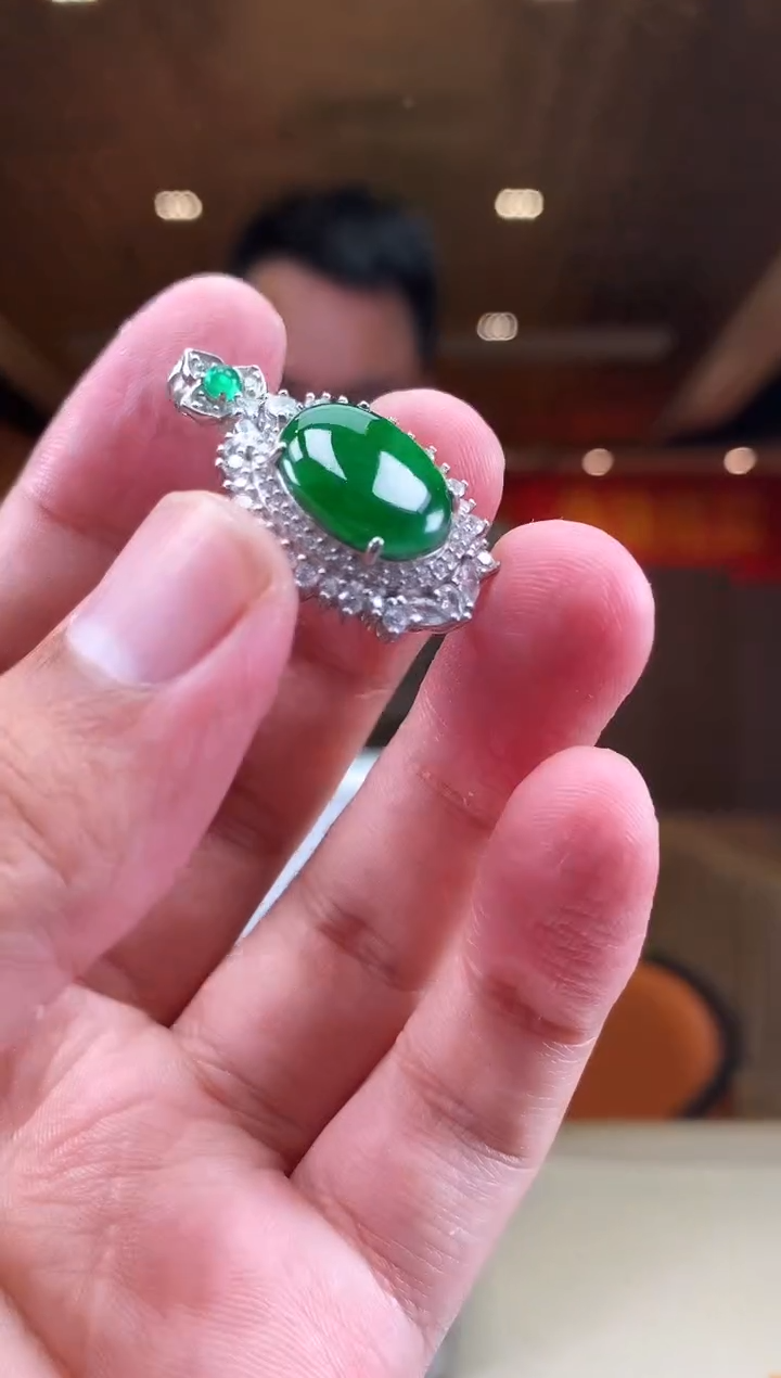 【闪购商品】翡翠颈饰未镶嵌             *220