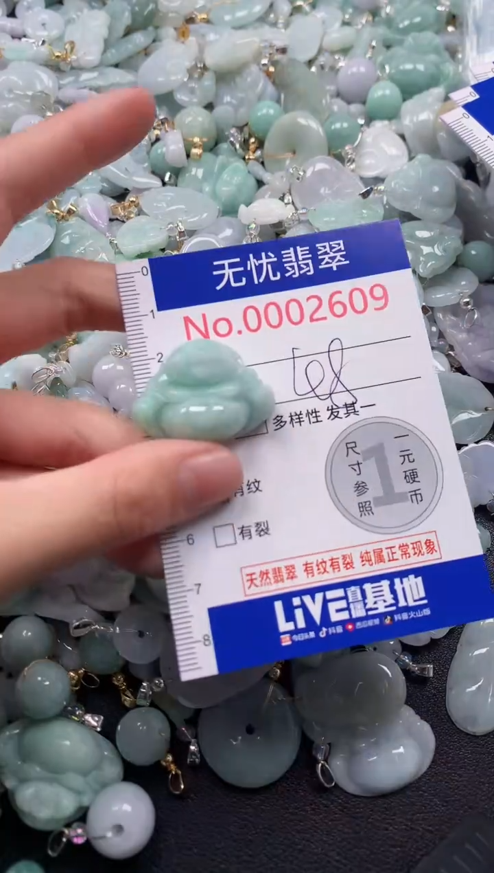 颈饰未镶嵌翡翠2609