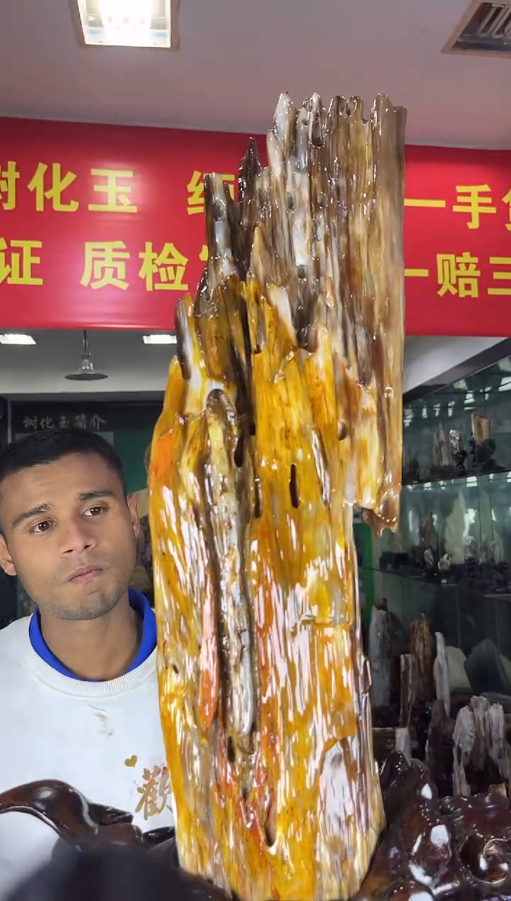 未镶嵌珠宝奇石硅化玉缅甸天然树化玉摆件