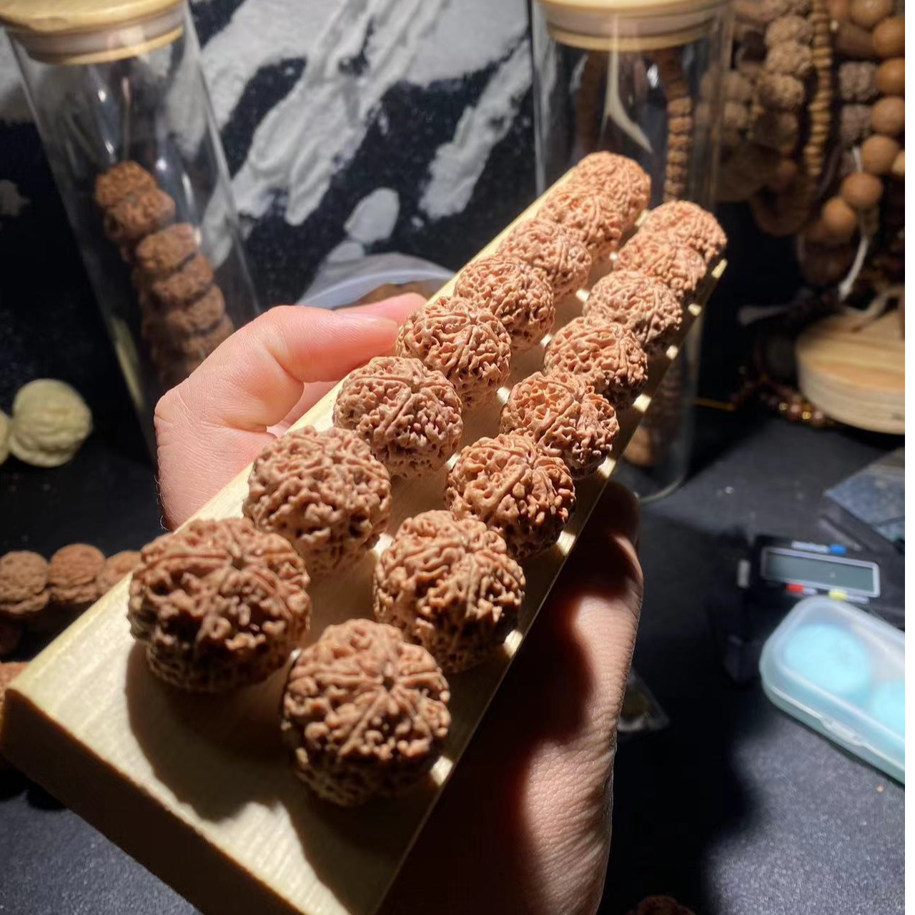 新籽【如·意】针孔蜂王尼泊尔大金刚金刚菩提