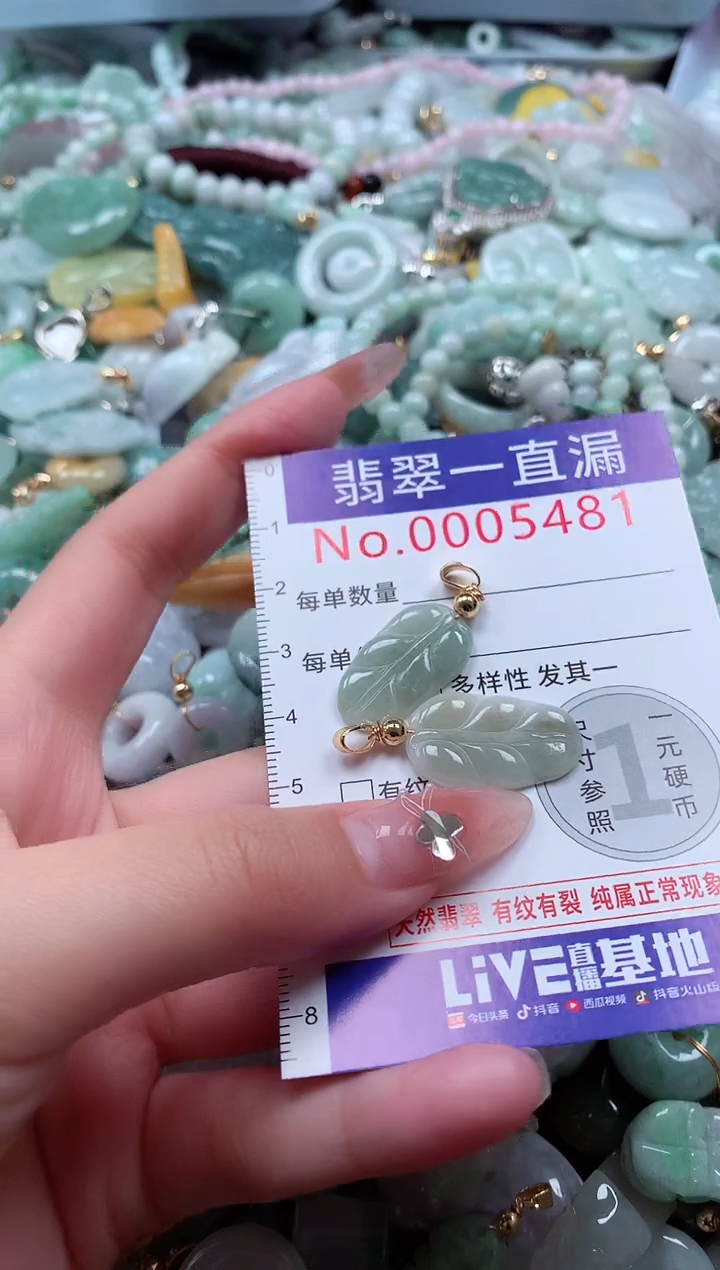 翡翠未镶嵌吊坠(不含链)5481