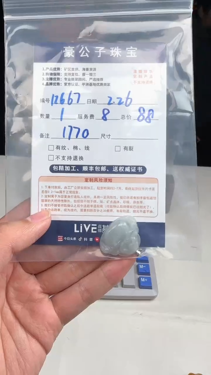 【闪购商品】翡翠颈饰银S925镶嵌12667（发货一个）