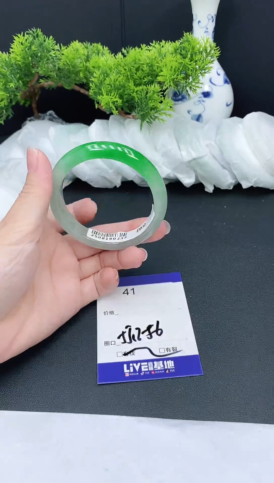 未镶嵌手镯翡翠41