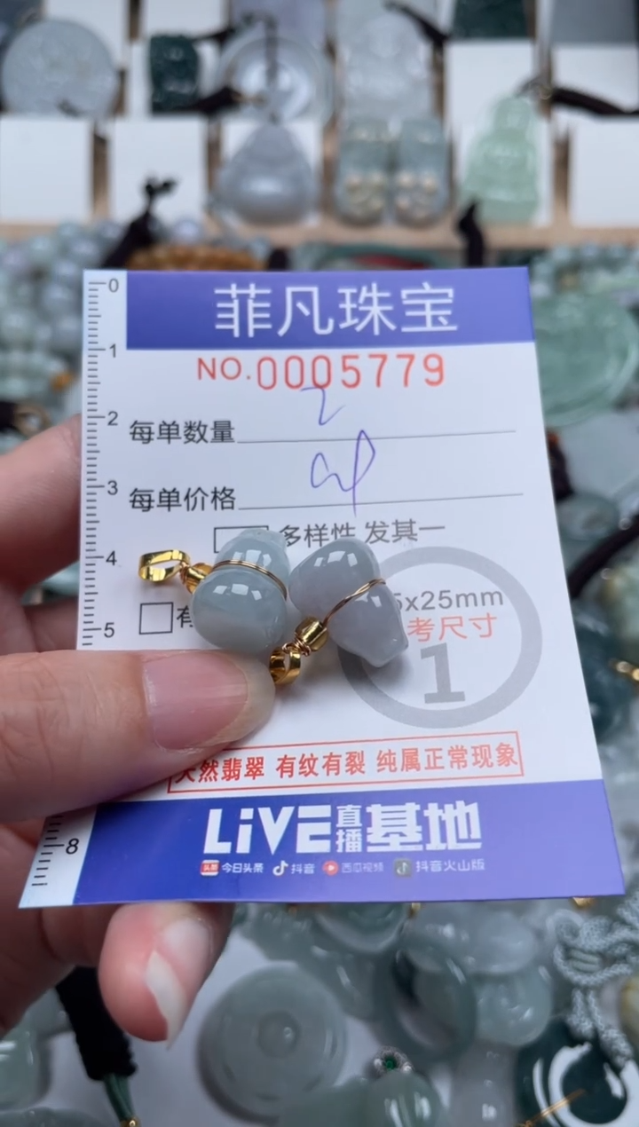 翡翠未镶嵌颈饰00..5779