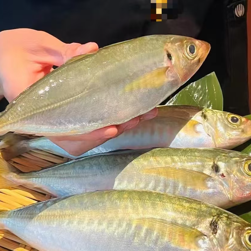 豪巴浪鱼（小竹夹）刺身-2条2-3人套餐