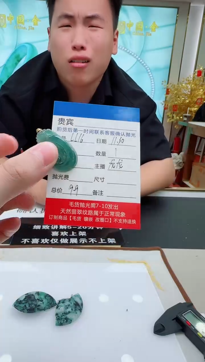 颈饰18K金镶嵌翡翠LL16翡翠吊坠-多样性发其一