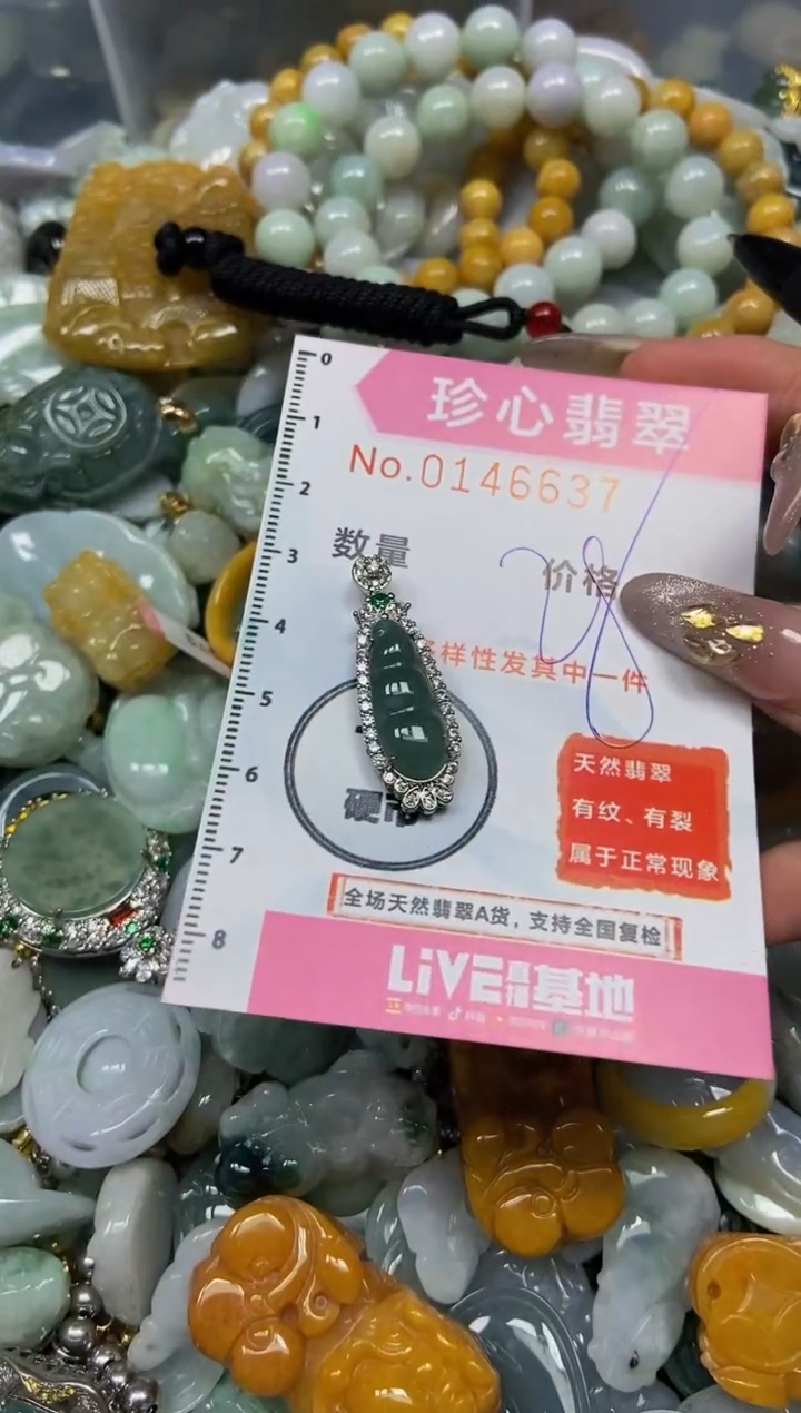 【闪购商品】翡翠颈饰未镶嵌闪购0146637