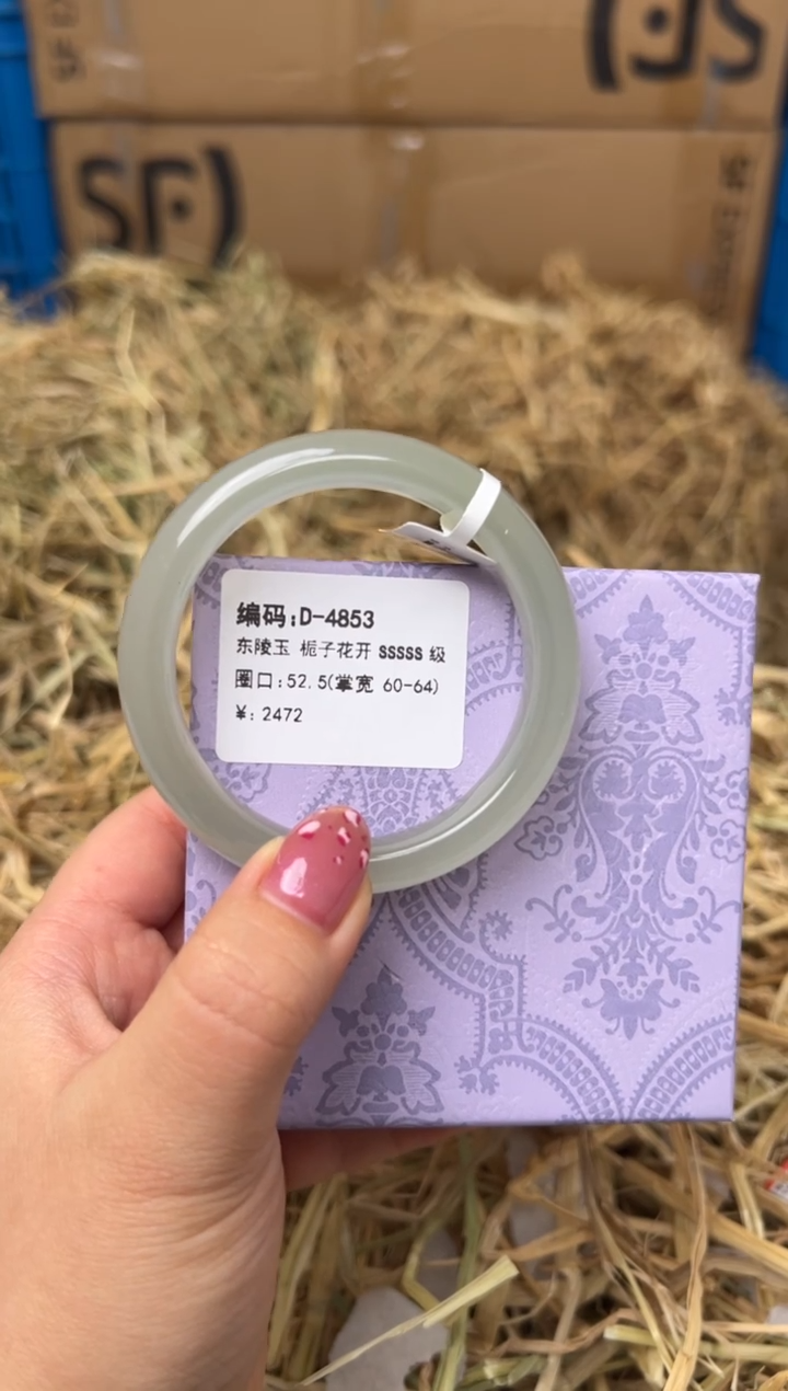 未镶嵌手镯石英质玉D-4853