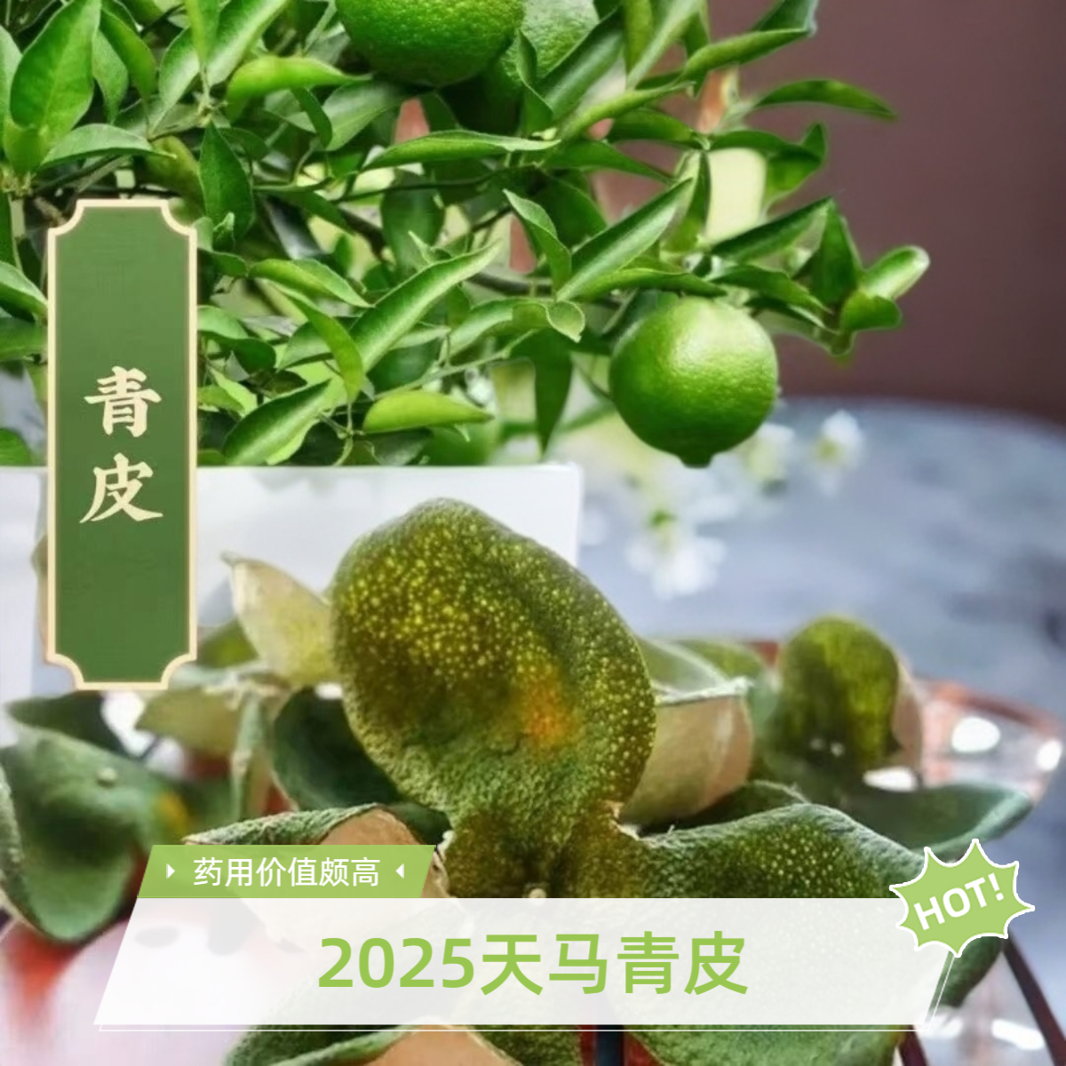 新会三花青皮老树圈枝柑正宗头采大青皮入药滋补泡茶陈皮新会陈皮