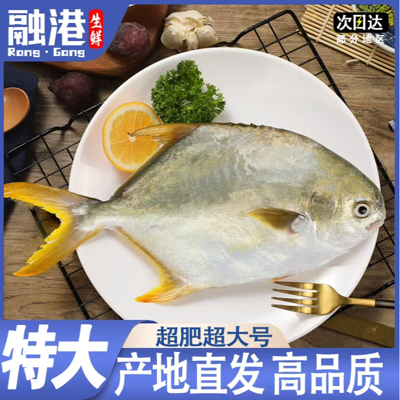 新鲜深海特大金鲳鱼
