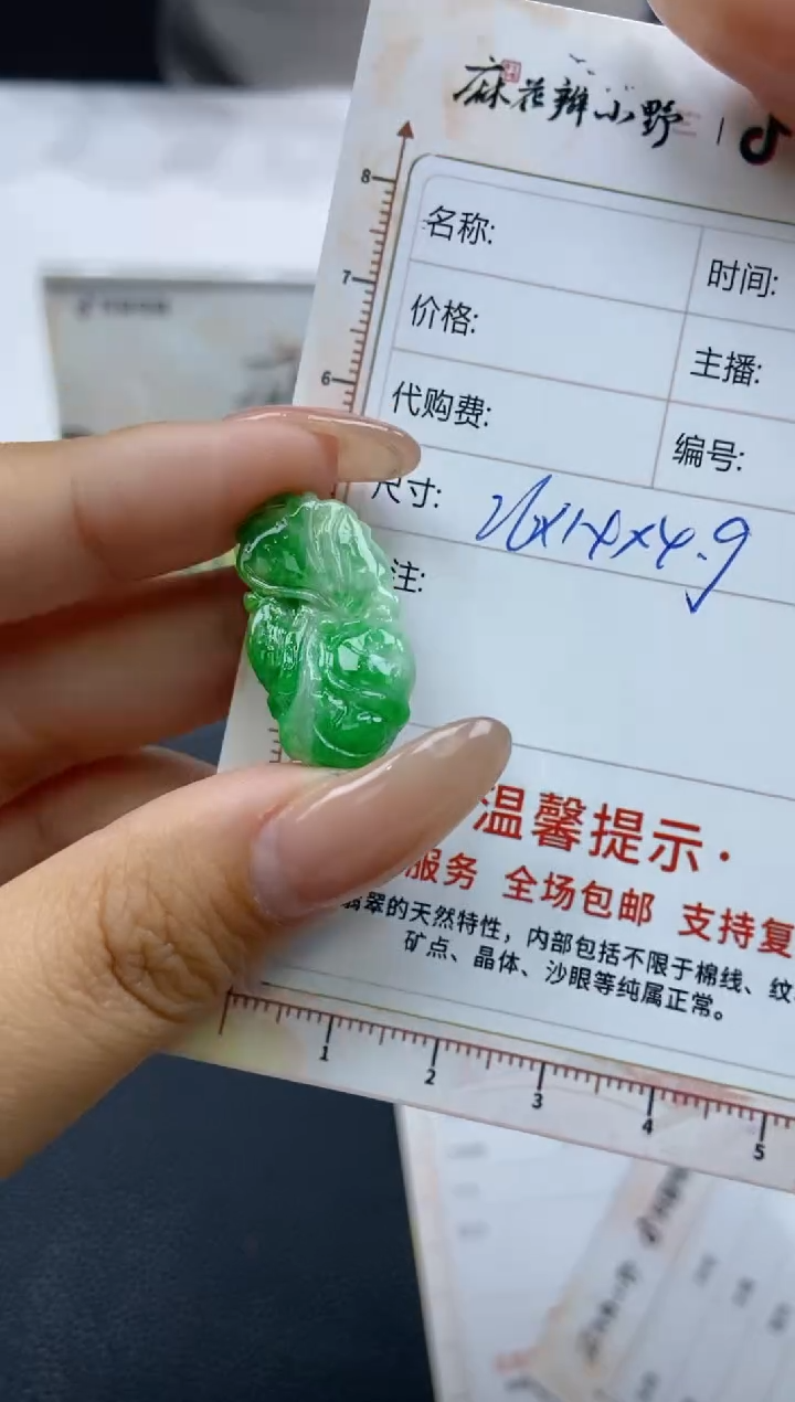 【闪购商品】翡翠颈饰未镶嵌天然翡翠A货19