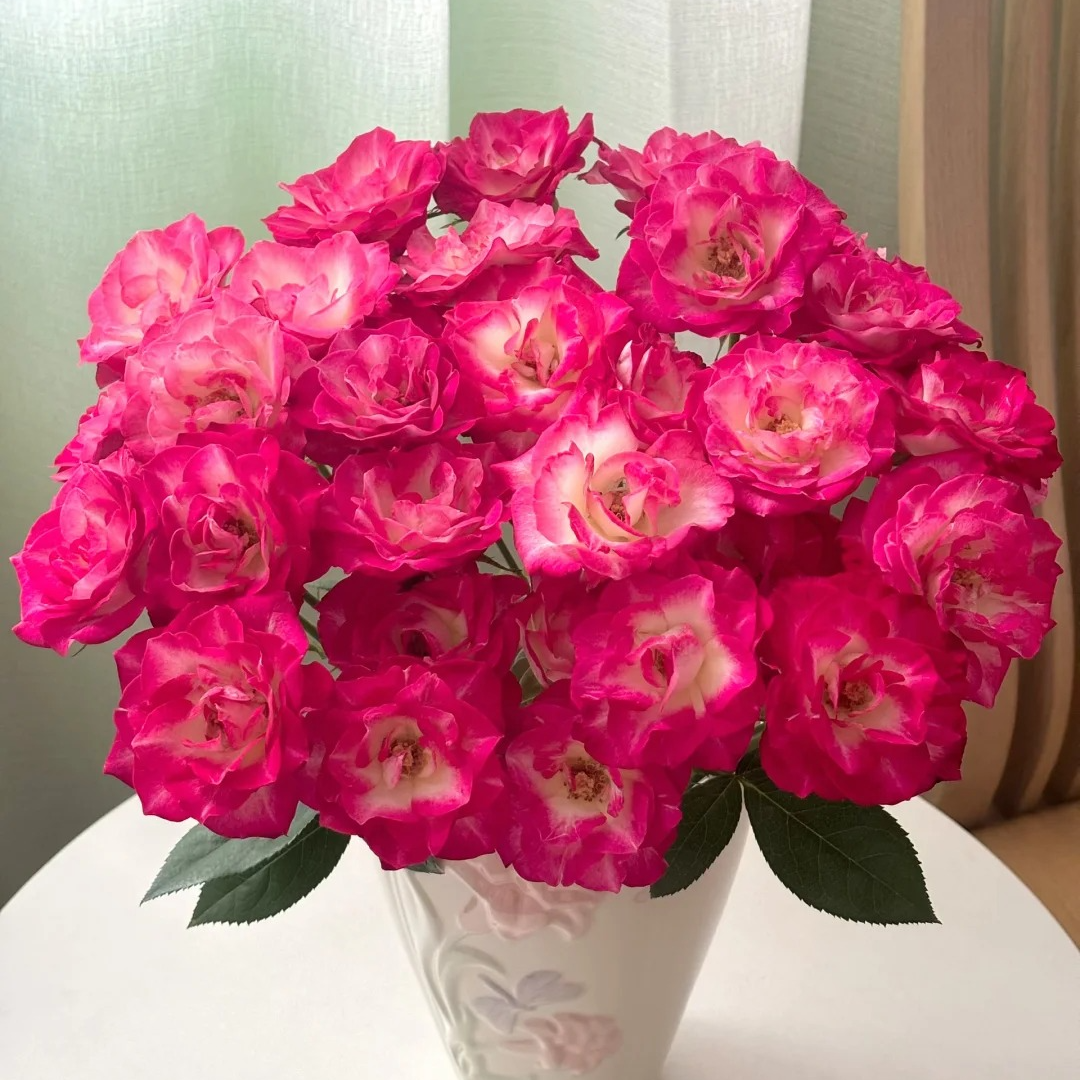 【云南鲜花】多头（银河）玫瑰 1单普通包邮，2单以上顺丰冷链