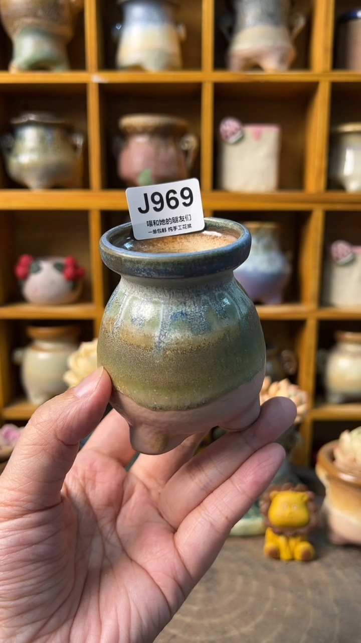 969 内口4.5【多肉花盆多肉盆】