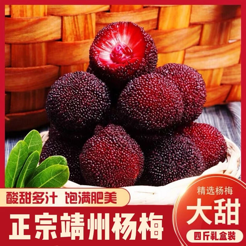 【靖州杨梅】巨无霸东魁湖南靖州精品东魁90颗礼盒装