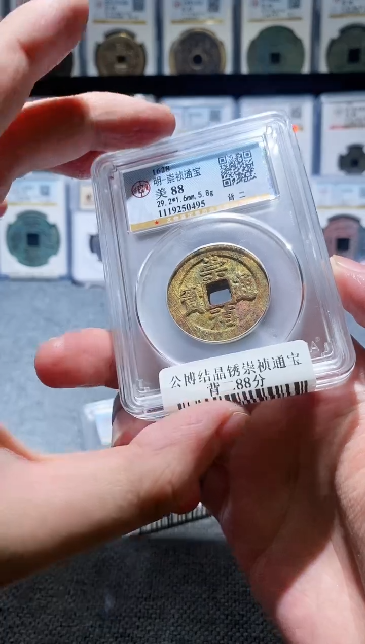 铜A486公播祈福坑崇祯通宝背二88分