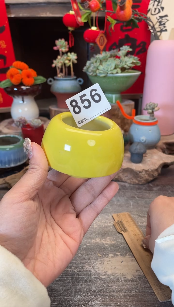 【闪购商品】摆件856知木小芳花盆