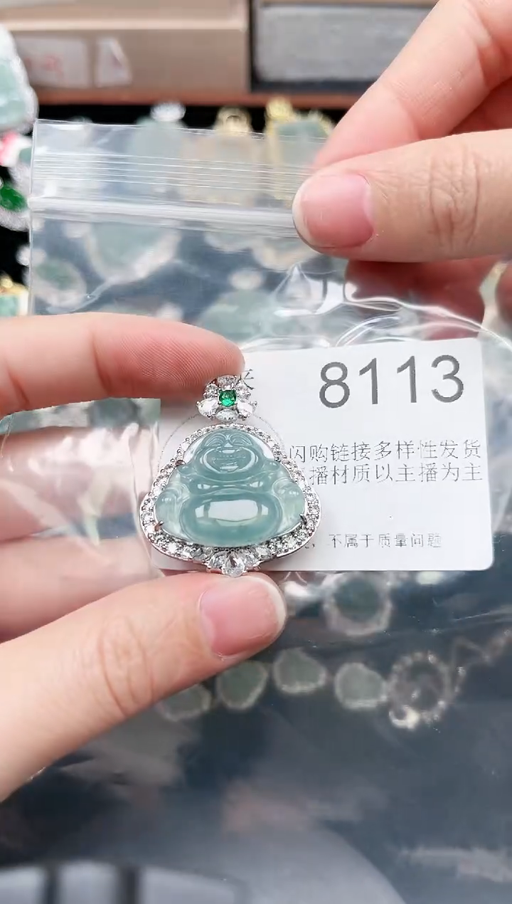 【闪购商品】翡翠颈饰未镶嵌8113赠皮绳