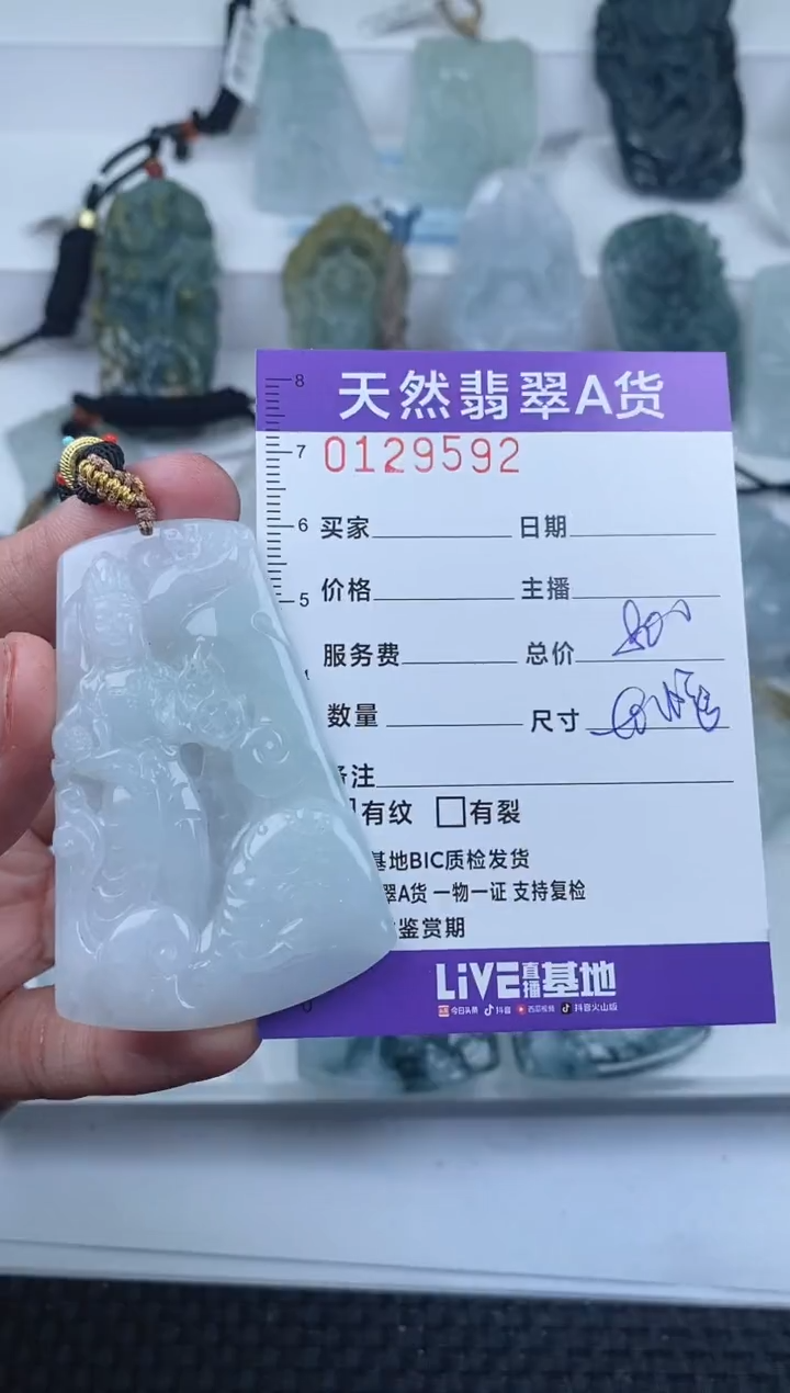 【闪购商品】翡翠颈饰未镶嵌         592