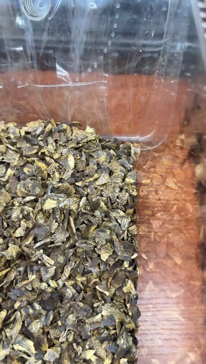 香料29-海南切片（不沉）10克