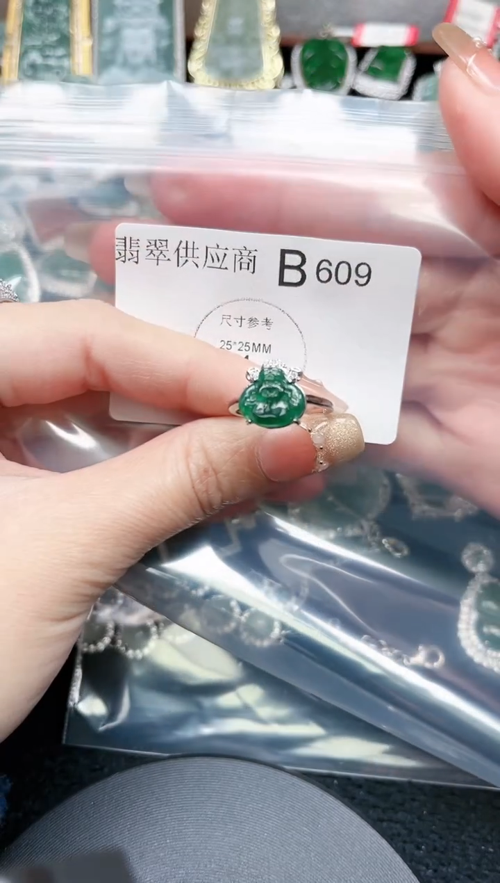 【闪购商品】翡翠颈饰未镶嵌609赠皮绳