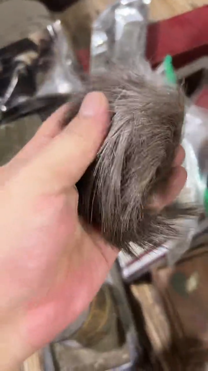 紫砂公道杯紫砂紫砂紫砂紫砂