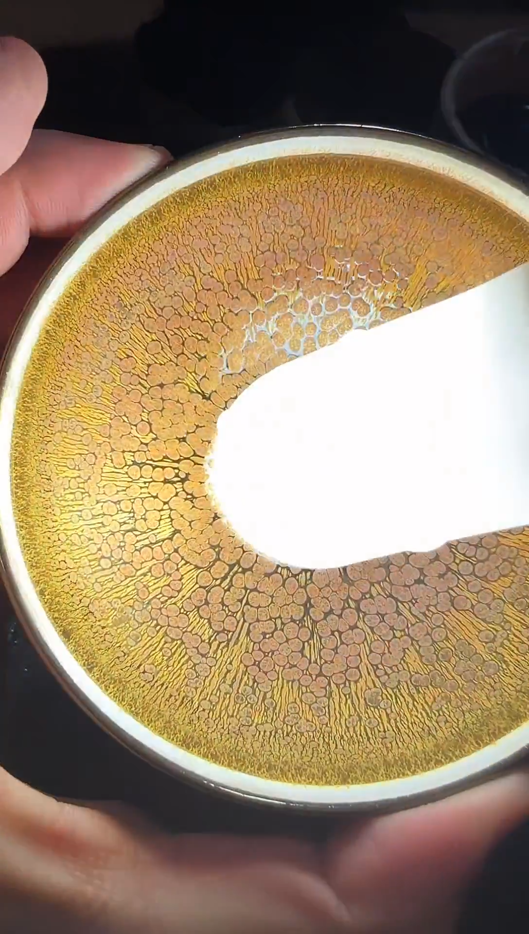 茶盏刘友良精品馆13