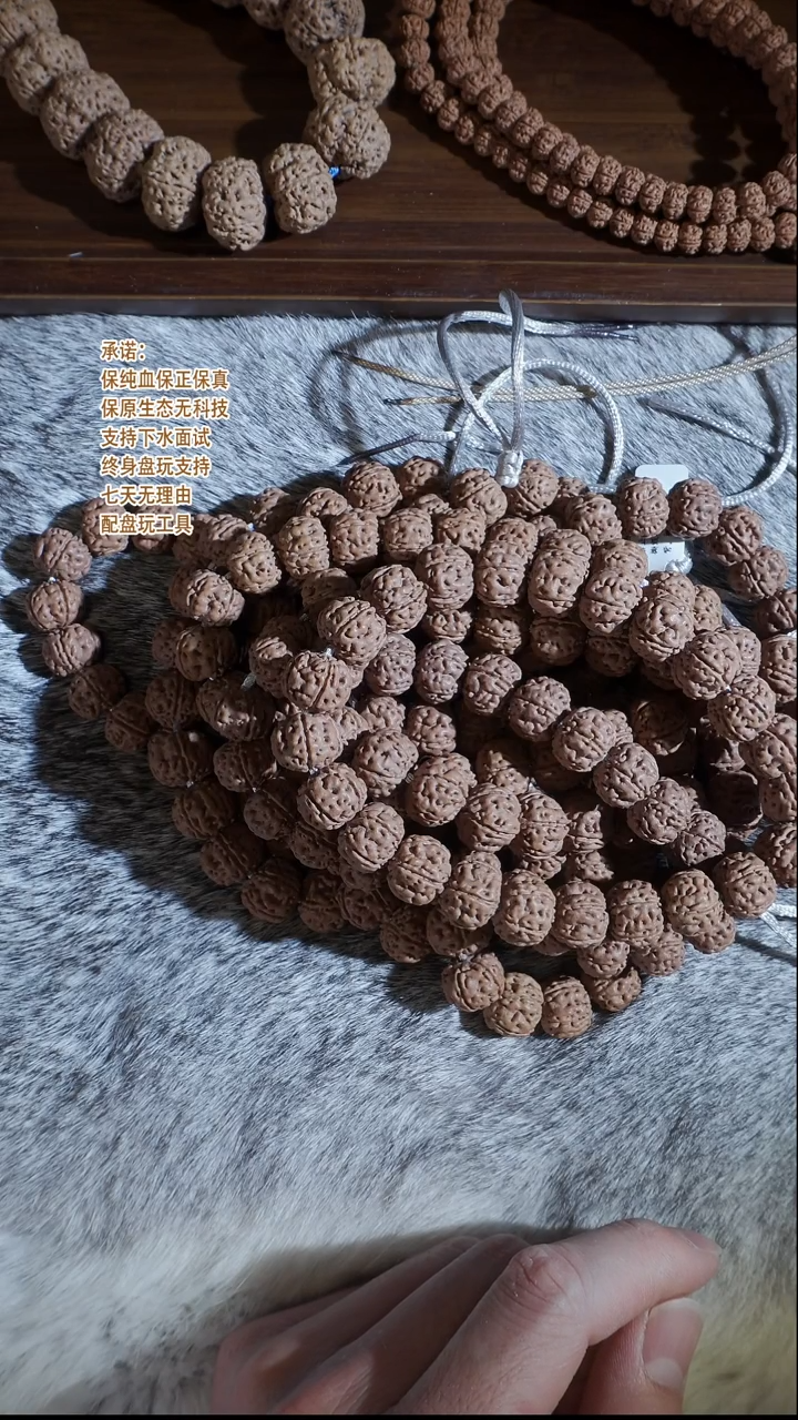 手串金刚菩提14mm"全品-体验款 老树王原桩单圈"