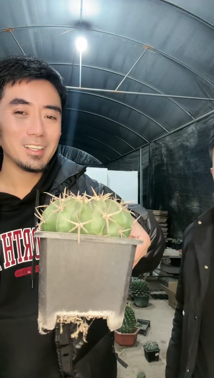 【闪购商品】大凌波111111