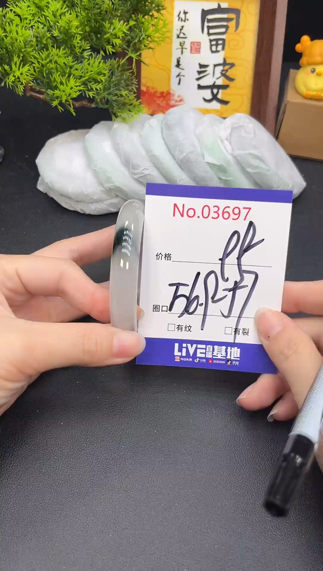 未镶嵌手镯翡翠3697