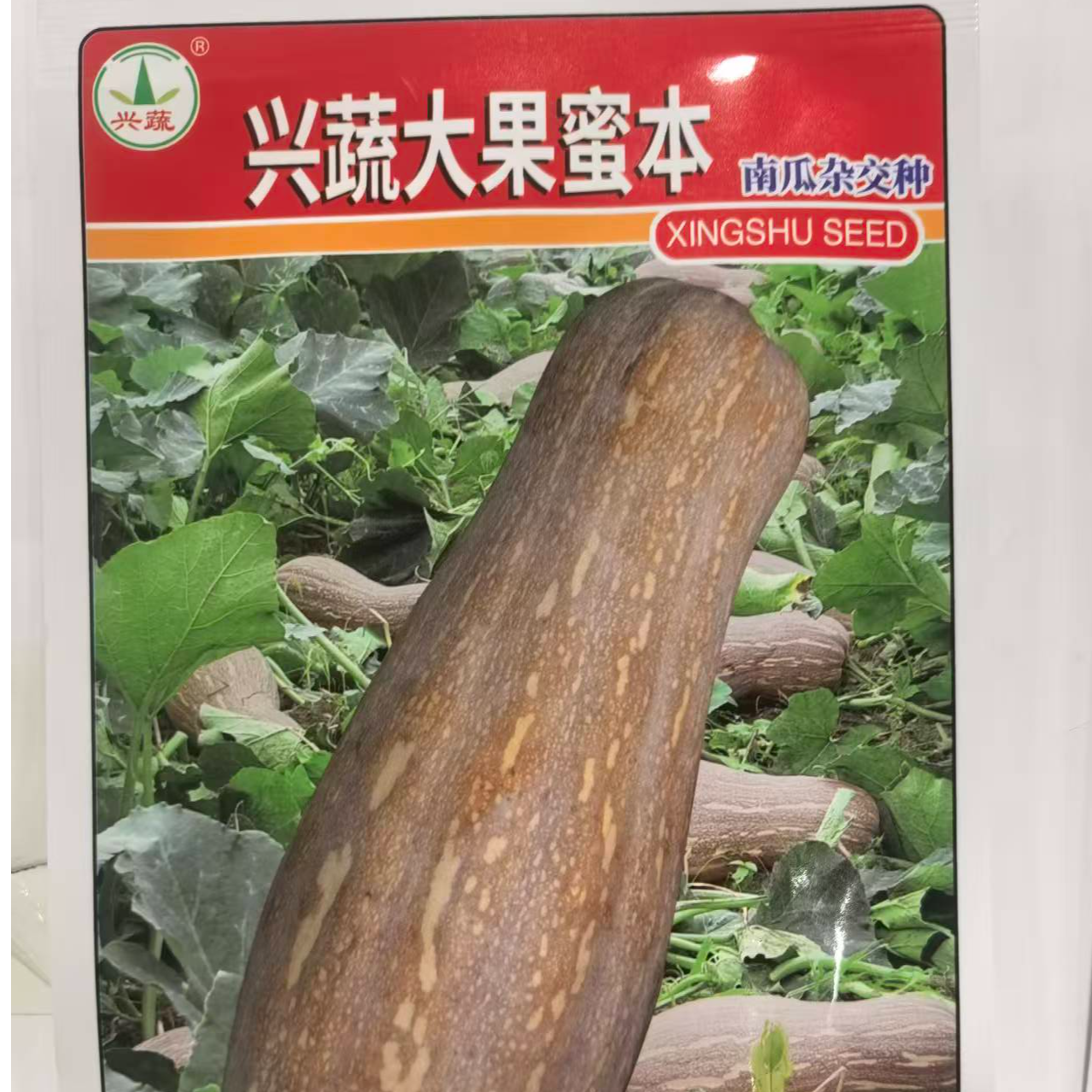 10克兴蔬大果蜜本南瓜好吃商品性好